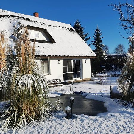 Reetferienhaus - Schaprode Hafen Extérieur photo