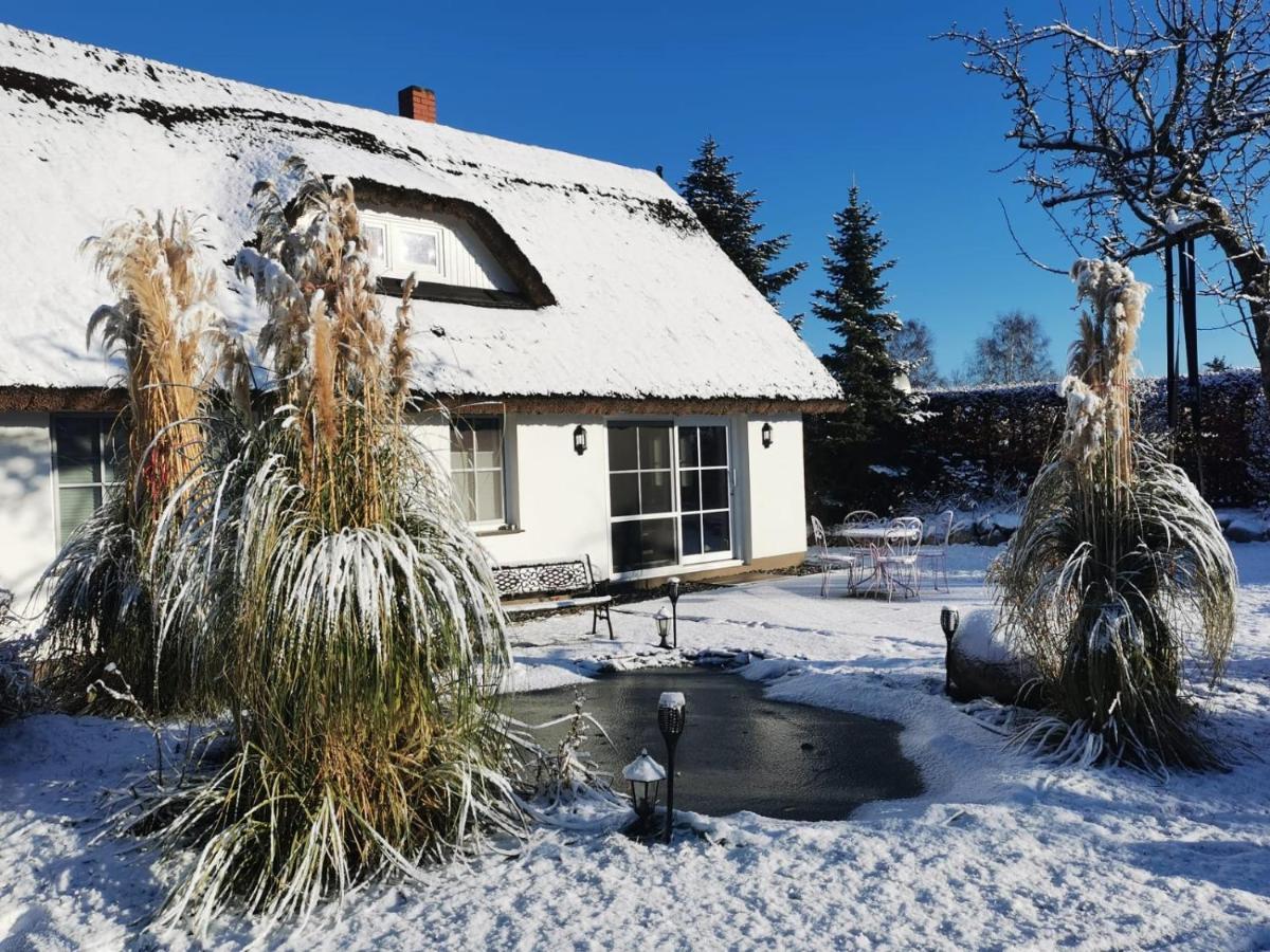 Reetferienhaus - Schaprode Hafen Extérieur photo